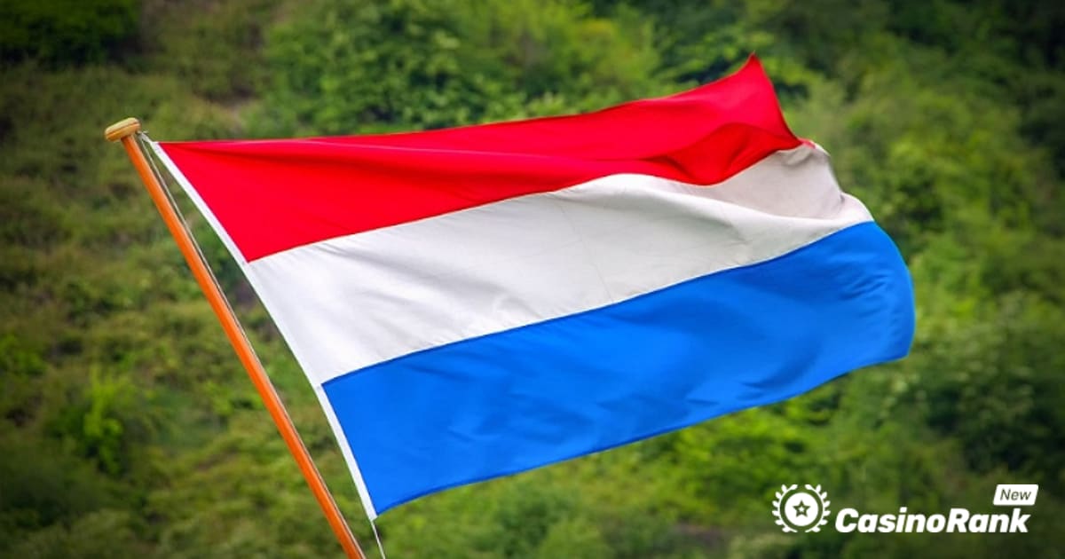 Wazdan расширяет свое присутствие в Нидерландах благодаря сделке Bingoal